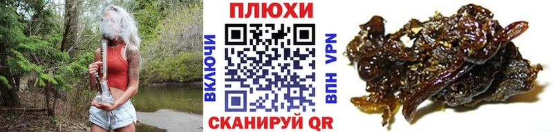 Купить  Королёв  Гашиш Изолятор 