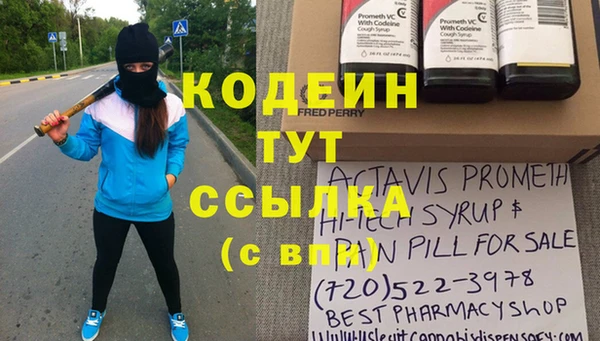 шишки Майский
